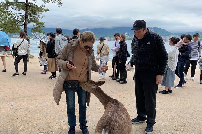 Miyajima Half-Day Private Tour With Government Licensed Guide - Reviews and Testimonials Summary