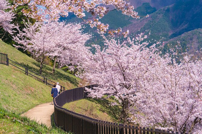 Mt. Fuji Cherry Blossom One Day Tour From Tokyo - Traveling to and From Tokyo