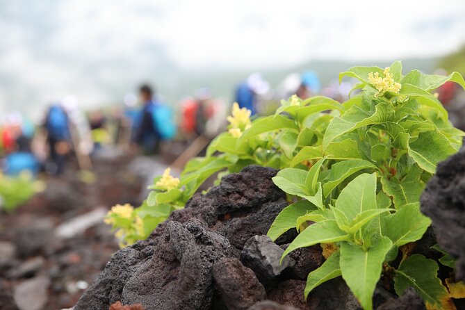 Mt.Fuji Trekking 1 Day Tour up to the Summit - What to Expect on Tour