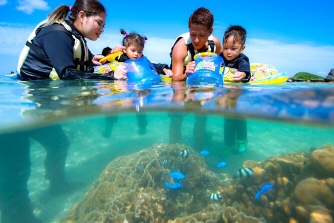 OK From 2 Years Old! / Sea Picnic & Snorkel - Essential Inclusions and Fees