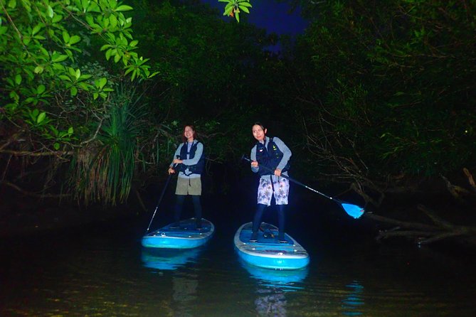 [Okinawa Iriomote] Night SUP/Canoe Tour in Iriomote Island - Safety Precautions and Guidelines