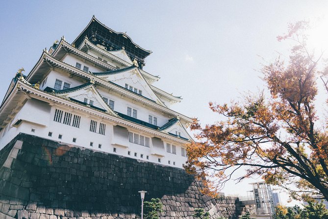 Osaka Private Tour: From Historic Tenma To Dōtonbori's Pop Culture - 8 Hours - Unveiling Osakas Food Scene