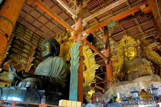 Private Tour Kyoto-Nara W/Hotel Pick up & Drop off From Kyoto - Tour Operator and Guides