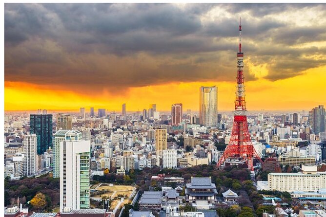 Tokyo City Private Full Day Tour With English Speaking Driver - Pricing and Cancellation Policy