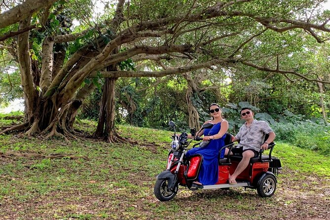 2h 3-Seater Electric Trike Rental (Ishigaki, Okinawa) - Booking and Payment Procedures