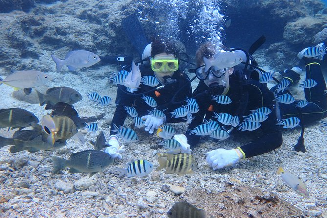 Blue Cave Experience Diving! [Okinawa Prefecture] Feeding & Photo Image Free! English, Chinese Guide Available! 1 Group With a Dedicated Instructor - How to Prepare for the Dive