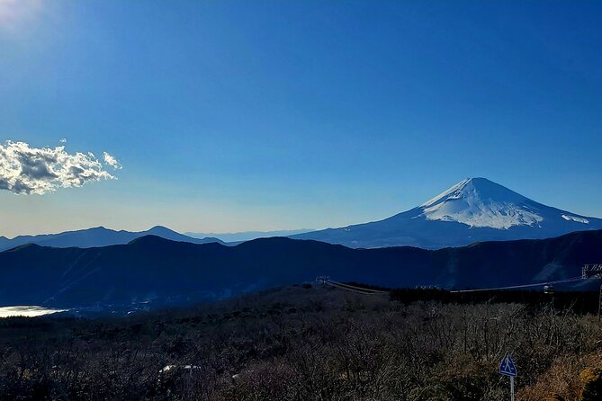 Full Day Hakone Private Tour With English Guide - What to Expect on Tour