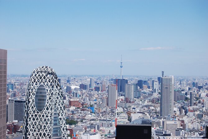 Full-Day Panoramic Bus Tour in Tokyo With Bay Cruise - Important Safety Considerations