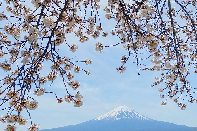 Full Day Private Tour to Mt Fuji by Luxury Vehicle - Important Tour Considerations