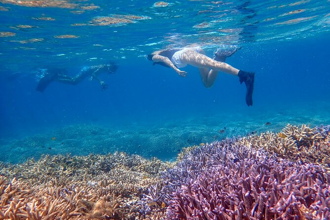 [Ishigaki] Snorkeling Tour at Phantom Island - Preparing for the Snorkeling Tour