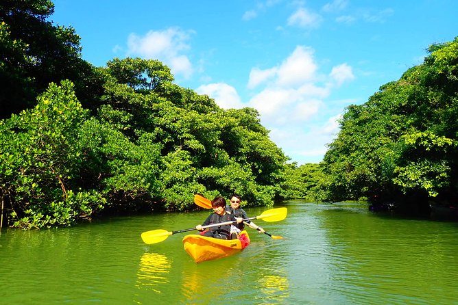 [Ishigaki]Mangrove SUP/Canoe Tour - Cancellation and Refund Policy