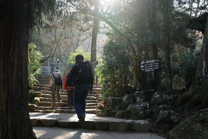 Miyajima Island Tour With Certified Local Guide - Preparing for the Adventure