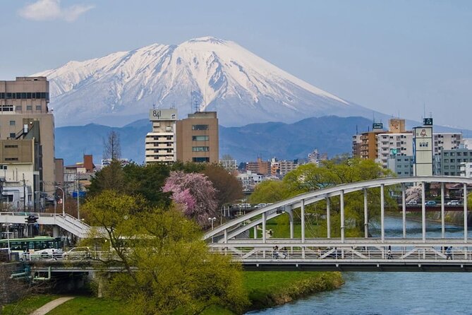 Morioka Half-Day Private Tour With Government-Licensed Guide - Expert Guide Insights Guaranteed