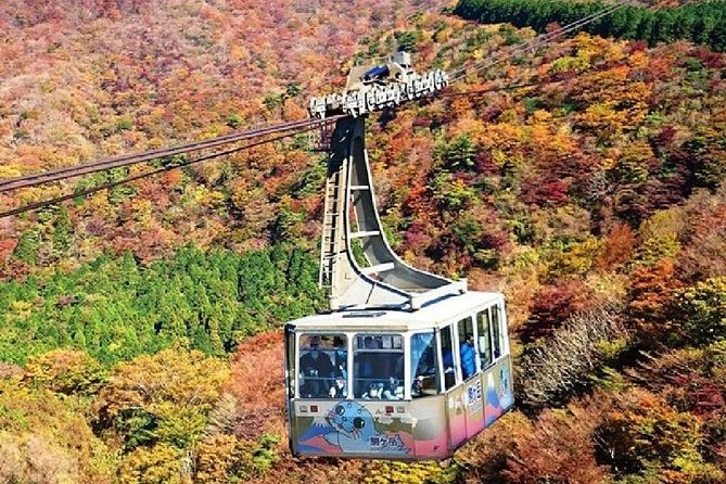 Mt Fuji, Hakone Lake Ashi Cruise Bullet Train Day Trip From Tokyo - Important Safety Guidelines