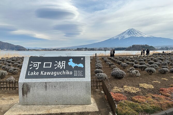 Mt.Fuji, Oishi Park & Arakurayama Sengen Park Bus Tour From Tokyo - Tour Pricing and Reviews