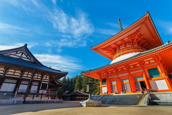 Mt. Koya Sacred Half-Day Private Tour With Government Licensed Guide - Preparing for Your Adventure