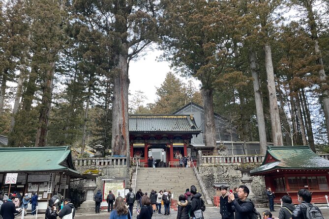 Nikko Full Day Private Tour With English Speaking Driver - What to Expect on the Tour