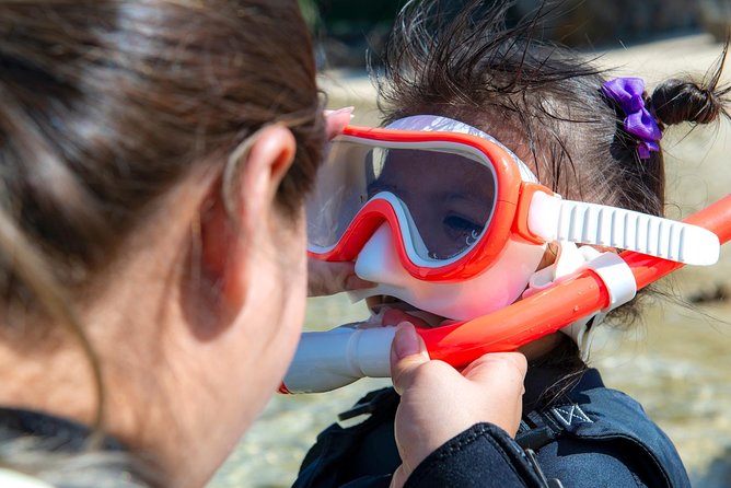 OK From 2 Years Old! / Sea Picnic & Snorkel - Health and Medical Conditions