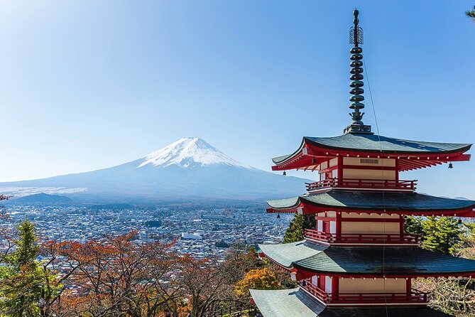 Private Mount Fuji and Hakone City Tour From Tokyo - What to Expect on This Tour