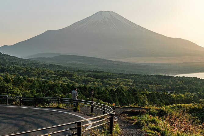 Private Sightseeing Tour to Mt Fuji and Hakone Guide - Accessibility and Special Needs