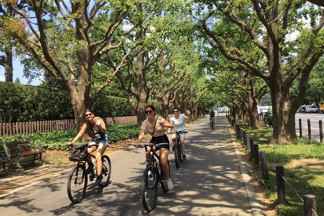 Small Group Cycling Tour in Tokyo - Safety Precautions and Guidelines