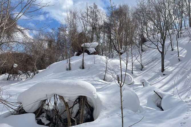 Snowshoeing and Onsen Adventures in a Winter Wonderland -Sapporo. - Navigating Sapporos Winter Weather