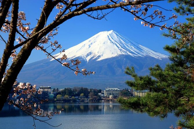 [75 Minutes] Tokyo-Mt.Fuji Tour: Mt. Fuji Helicopter Tour - Just The Basics