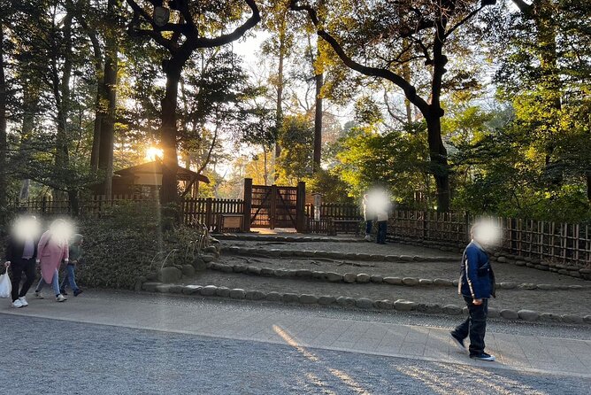 1 Hour Meiji Jingu Shrine Walking Tour in Harajuku - Final Tour Reminders