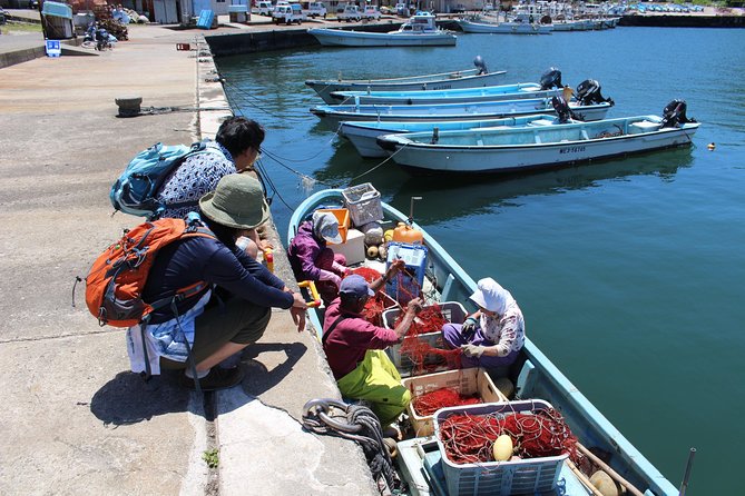 Explore Fishermen Island in Japan(Ise-Shima) - Tips for Your Island Getaway