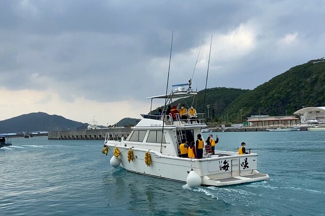 Great Whale Watching at Kerama Islands and Zamami Island - Kerama Islands Whale Species