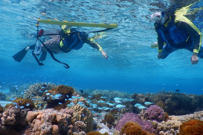 Half-Day Kayak Tour on the Kerama Islands and Zamami Island - Pre-Tour Preparation and Planning