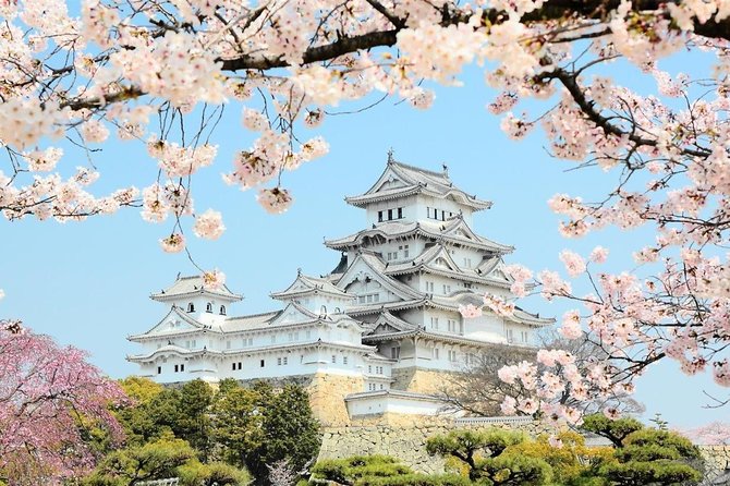 Himeji Half-Day Private Tour With Government-Licensed Guide - Tour Logistics and Access