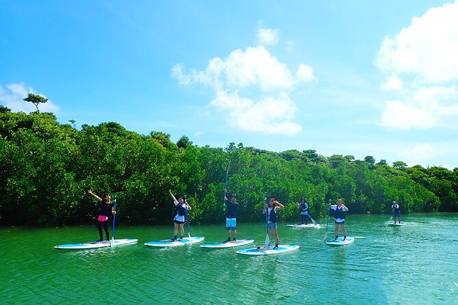 [Ishigaki]Mangrove SUP/Canoe Tour - Getting Ready for the Tour