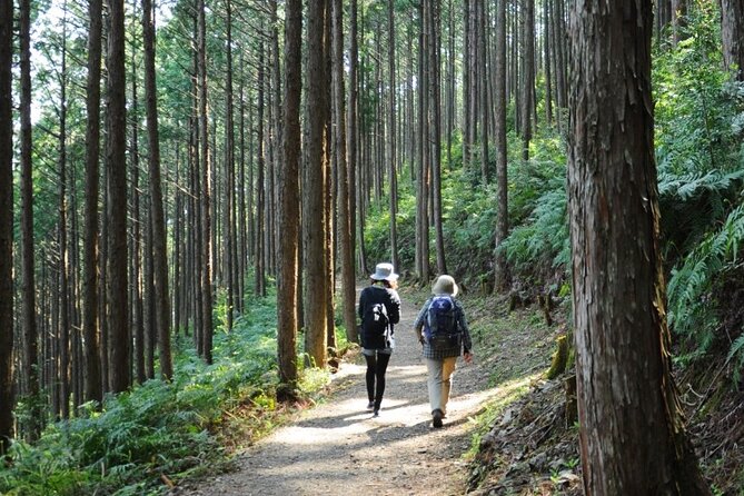 Kumano Kodo Pilgrimage Tour With Licensed Guide & Vehicle - Licensed Guide and Vehicle