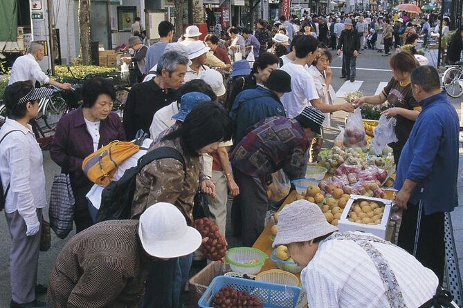 Morioka Half-Day Private Tour With Government-Licensed Guide - What to Expect on Tour