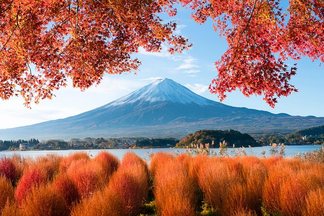 Mount Fuji Private Trip From Tokyo by Car/Van - in English - Cancellation and Refund Policy