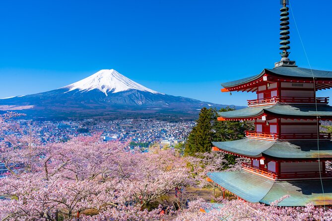 Mt. Fuji Cherry Blossom One Day Tour From Tokyo - Schedule and Booking Info