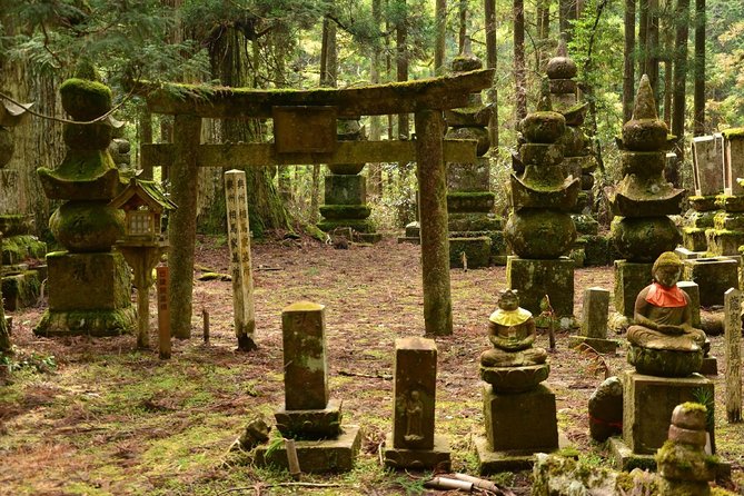 Mt. Koya Sacred Half-Day Private Tour With Government Licensed Guide - Booking and Cancellation Policies