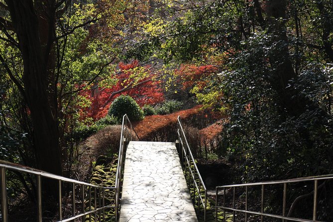 One Day Hike, Thrilling Mt. Nokogiri & Giant Buddha - Getting Ready for the Hike