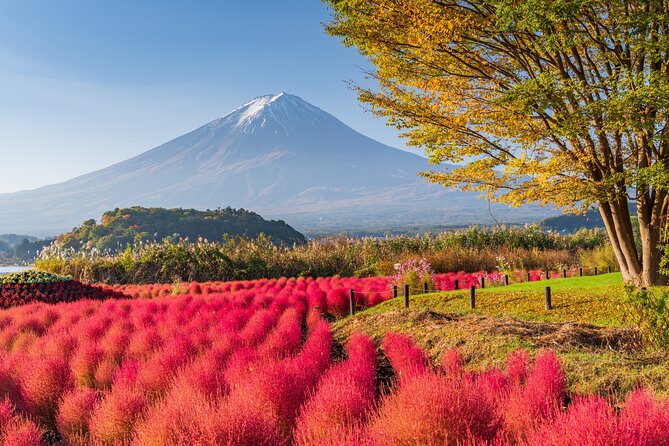 Private Day Tour From Tokyo: Customized Mount Fuji Highlights - Weather Conditions and Cancellations