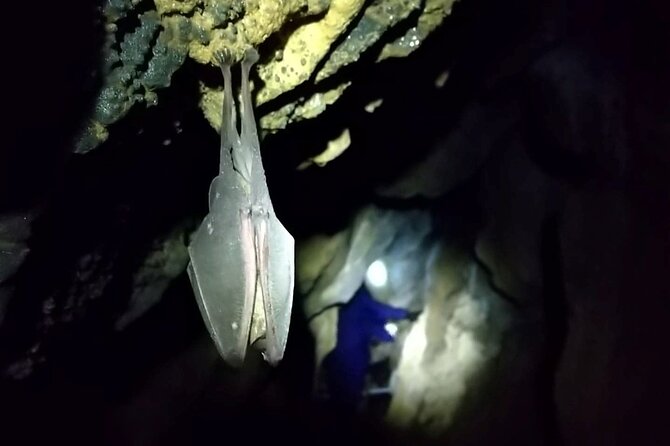 Private Ninja Training in a Cave in Hidaka - Safety and Accessibility Notes