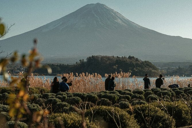 Private Sightseeing Tour to Mt Fuji and Hakone Guide - Tour Schedule and Timing