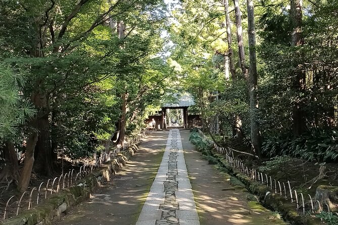 Private Tour From North Kamakura Temples & Shrine - Preparing for the Adventure