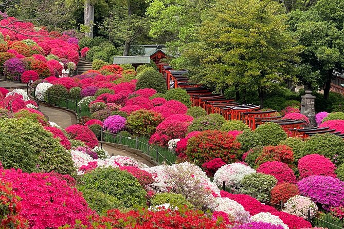 The Old Quarter of Tokyo - Yanaka Walking Tour - Beyond the Tourist Trail