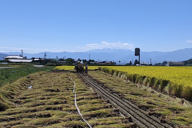 Etour De Matsumoto - Private Electric Bike Tour - Making the Most of Your Tour