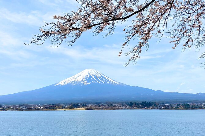 Full Day Private Tour to Mt Fuji by Luxury Vehicle - What to Expect on Tour