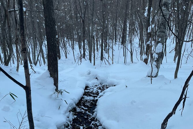 Full Day Snowshoeing Adventures With Onsen. - Getting to the Meeting Point