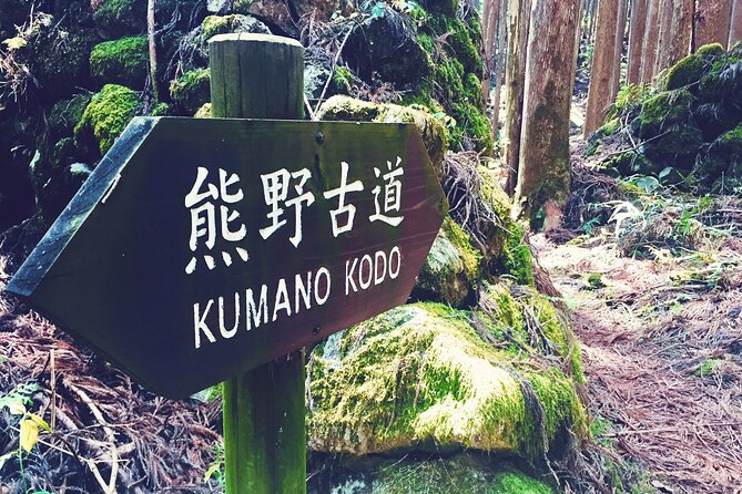 Kumano Kodo Pilgrimage Tour With Licensed Guide & Vehicle - Preparing for Your Pilgrimage