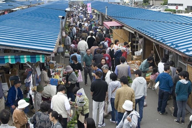 Morioka Half-Day Private Tour With Government-Licensed Guide - Accessibility and Safety First