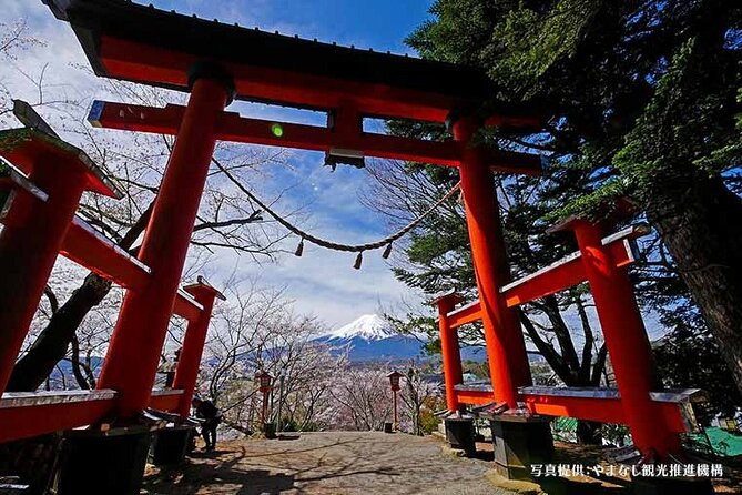 Mt.Fuji, Oishi Park & Arakurayama Sengen Park Bus Tour From Tokyo - Experience Mt. Fujis Beauty